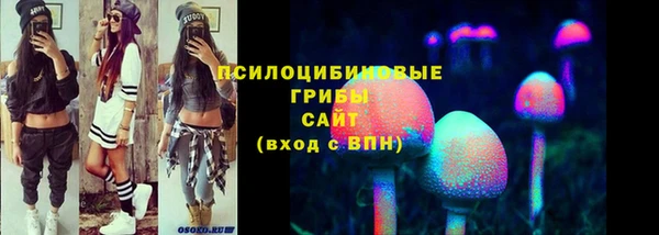 хмурый Осташков