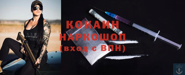 хмурый Алзамай