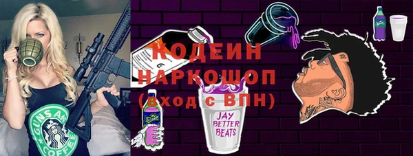 хмурый Алзамай