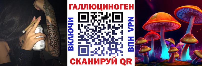Псилоцибиновые грибы Psilocybe Алексеевка